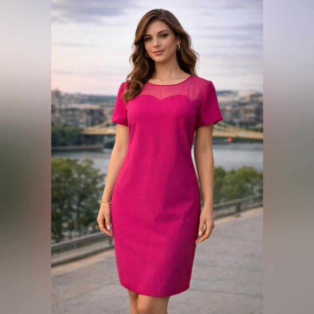 Ann Taylor Dress 8 Pink Short Sleeve Stretch Sheath Career Church Washable